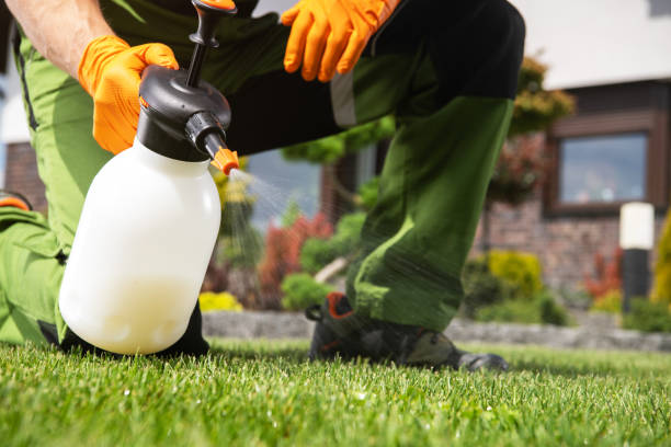 Best Rat Extermination Near Me  in Leonville, LA