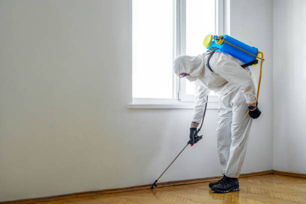 Best Local Pest Control Services  in Leonville, LA