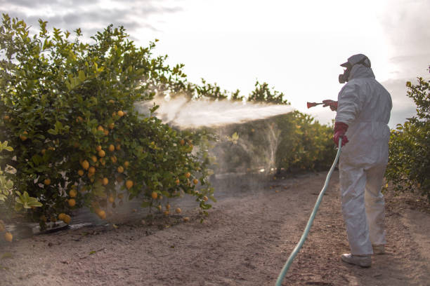 Best Flea Control Services  in Leonville, LA