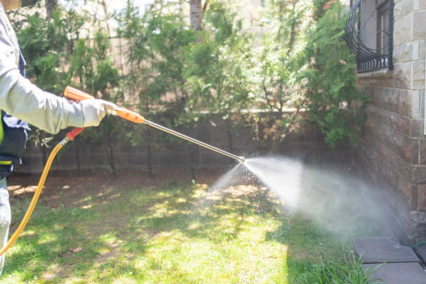 Best Spider Control Near Me  in Leonville, LA