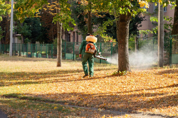 Best Pest Inspection Near Me  in Leonville, LA