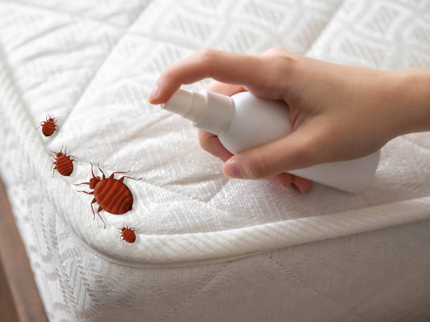 Best Best Pest Control Companies  in Leonville, LA