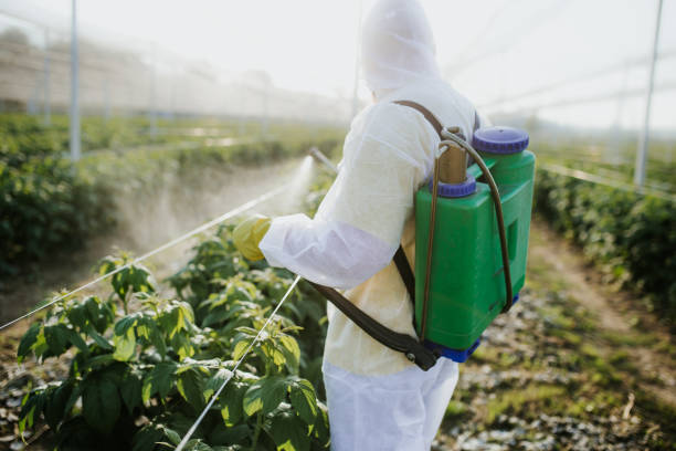 Best Exterminator Services  in Leonville, LA